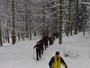 Schneeschuhwandern 05