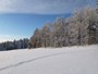 Schneeschuhwandern 13